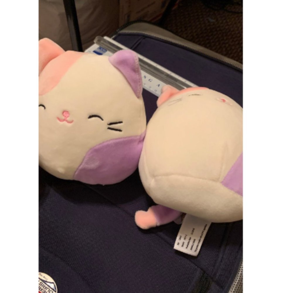squishmallow charlotte